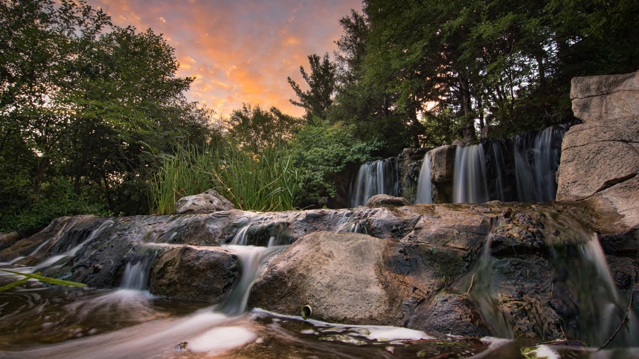Bonnie Bodnar, Realtor, Better Homes and Gardens Connections in Oak Forest, IL (5)