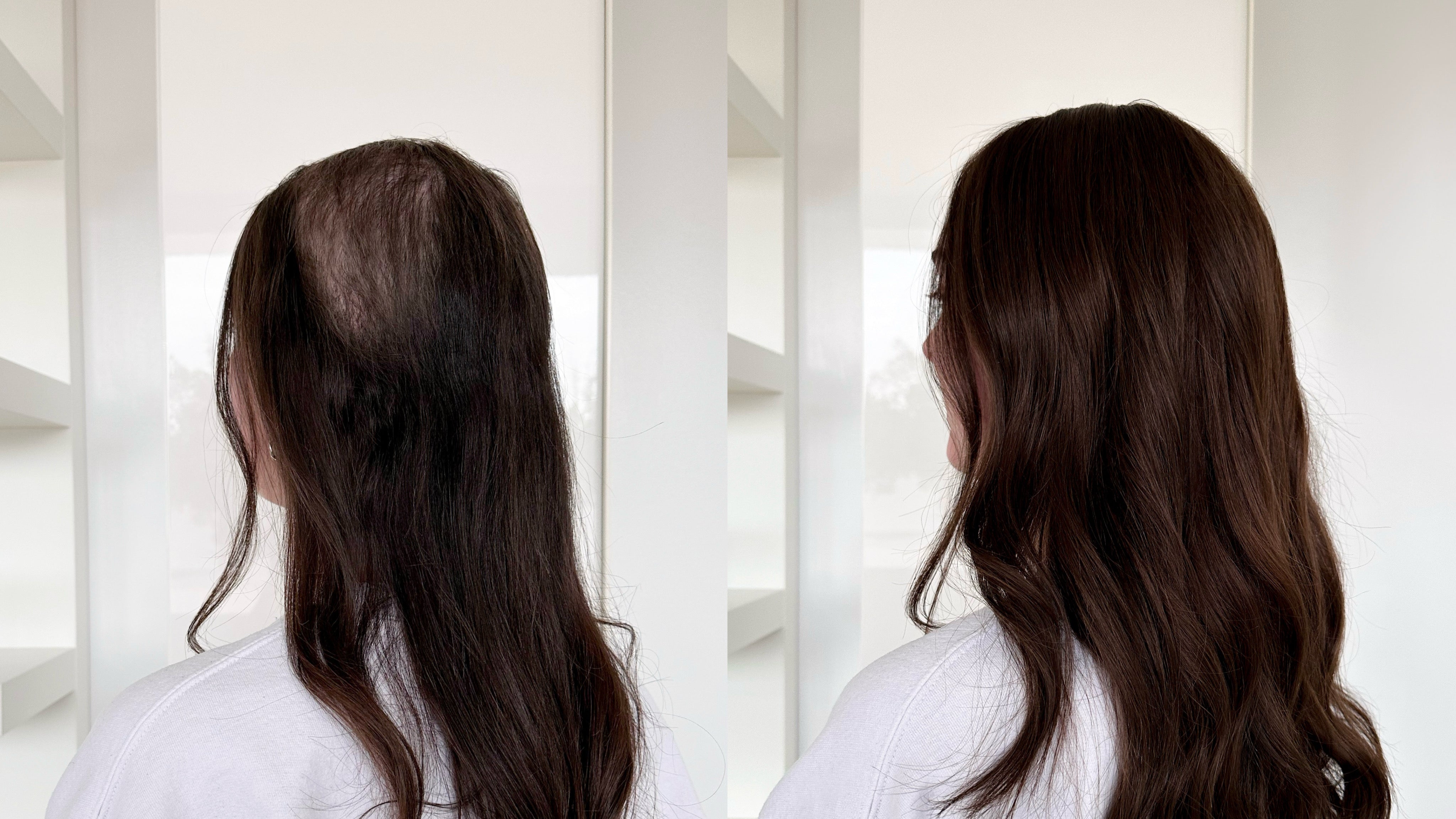 Posh Hair Company in Van Buren Township, MI (3)