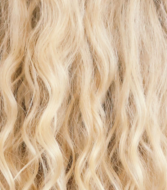 Posh Hair Company in Van Buren Township, MI (6)