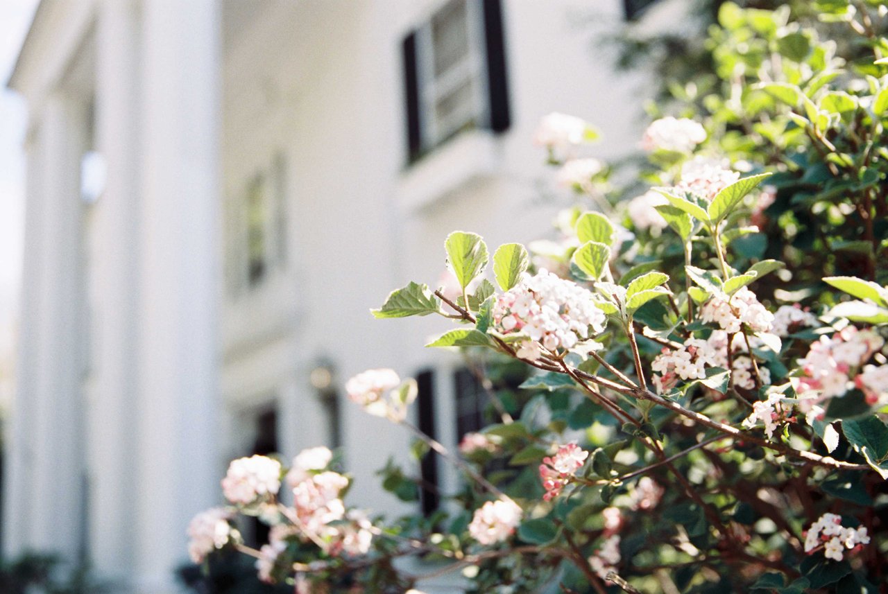 Diana Washabaugh - Southern Maryland's Realtor in California, MD (2)