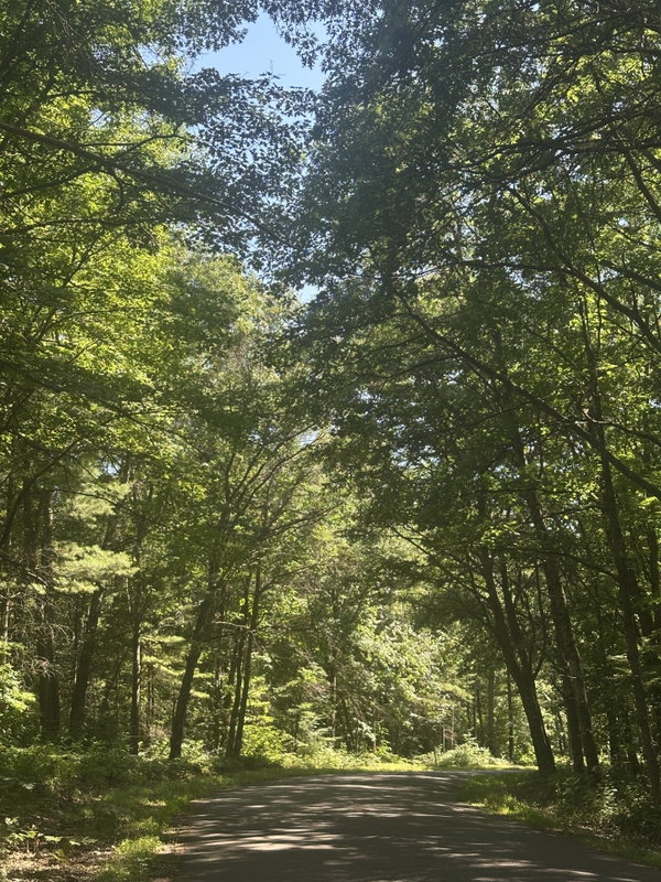 Chris Polfus Whitetail Properties | Real Estate | Northwest Wisconsin in New Richmond, WI (2)