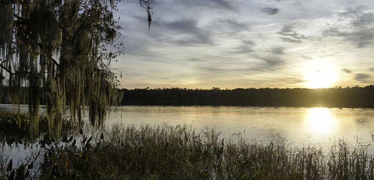 Scruggs, Carmichael, & Wershow, P.A. in Gainesville, FL (3)