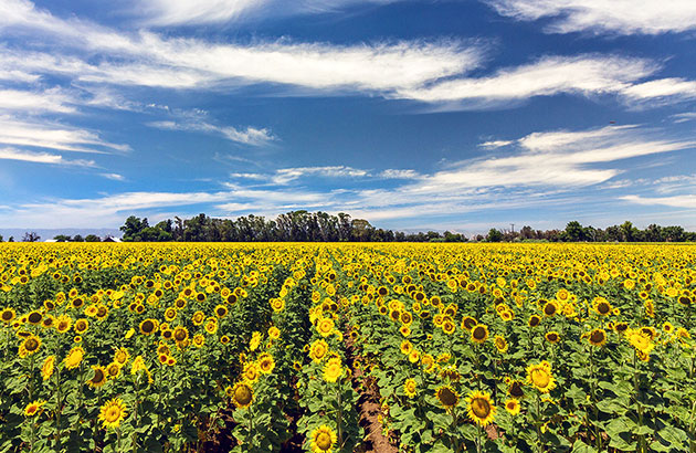 EXIT Realty Consultants - Ceres in Ceres, CA (6)