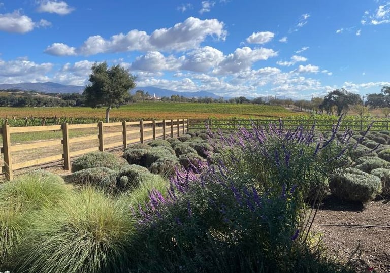 Black Oak Homes & Mortgages in Solvang, CA (5)
