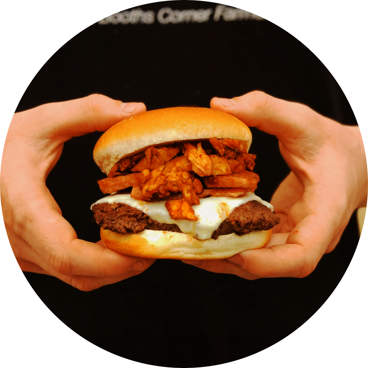 Albie’s Burgers Restaurant and Food Truck in Garnet Valley, PA (3)