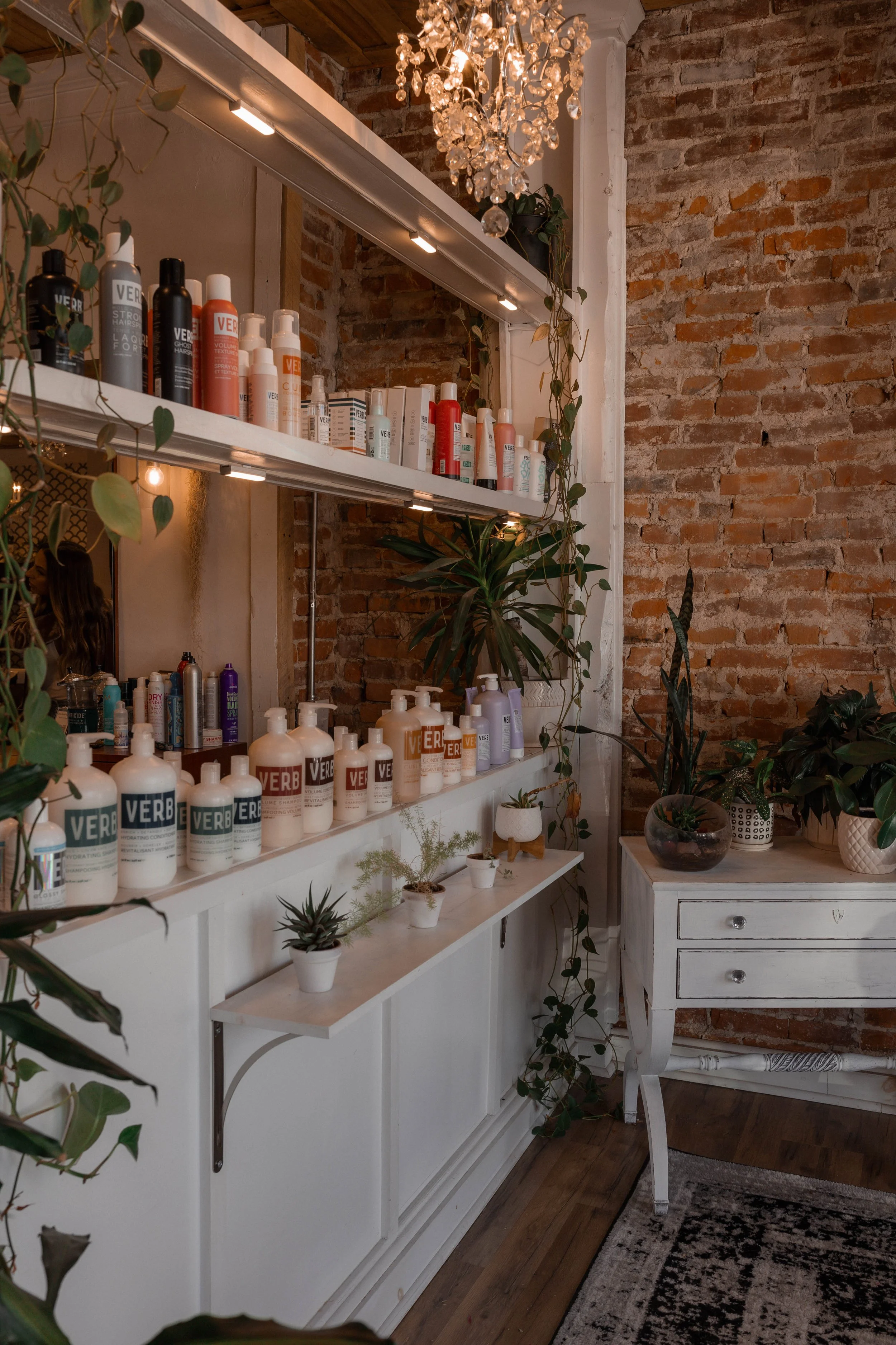 Lotus Hair and Skin Studio in Morton, PA (2)