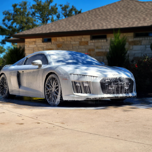 Pro-Luxe Automotive Detailing LLC in Mc Neil, TX (2)