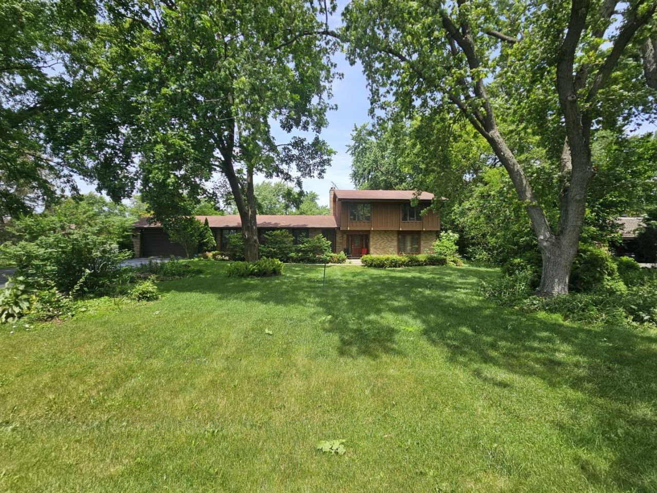 Ilona Kazmer in Arlington Heights, IL