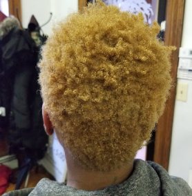 Harlem Natural Hair Salon in New York, NY (3)