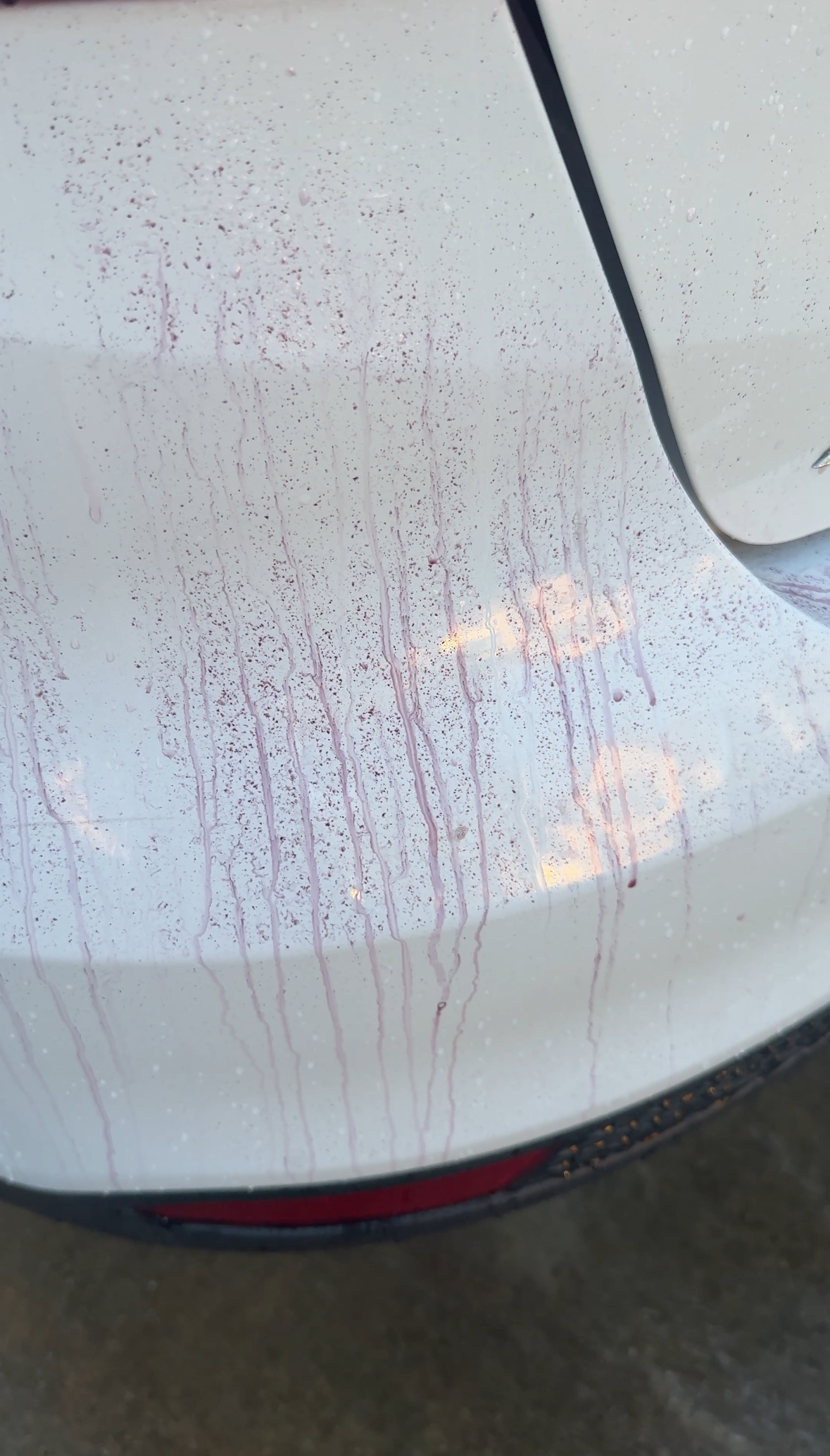 Sleek Mobile Detailing & Ceramic Coatings in Manteca, CA