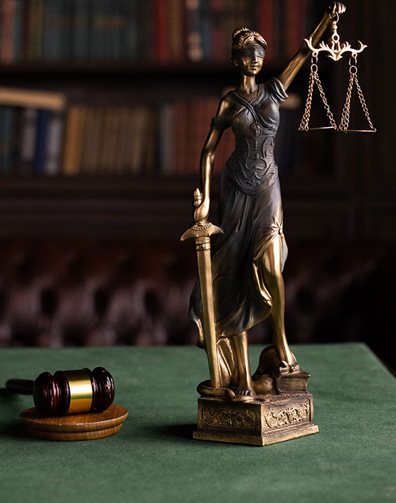 Thomas J. Duffy, Attorney at Law LLC in Hayward, WI