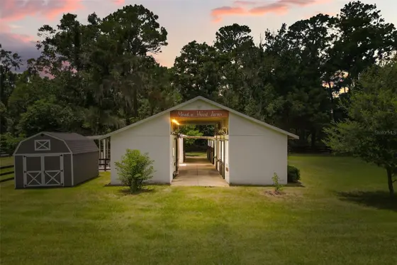 Daniela Patton REALTOR® in Howey In The Hills, FL (4)
