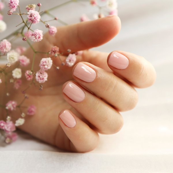 AN'S NAILS & SPA in Lewisville, TX (2)