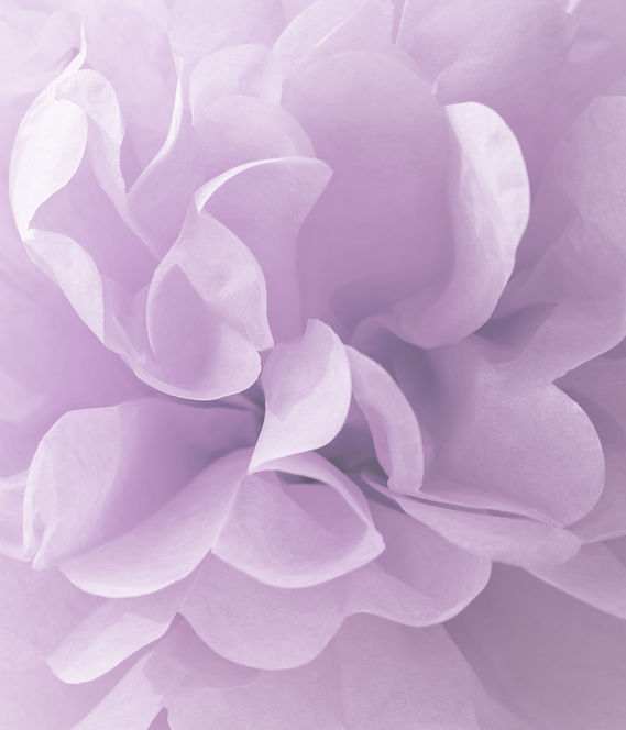Luxury Nail Spa in Oak Park, IL (2)
