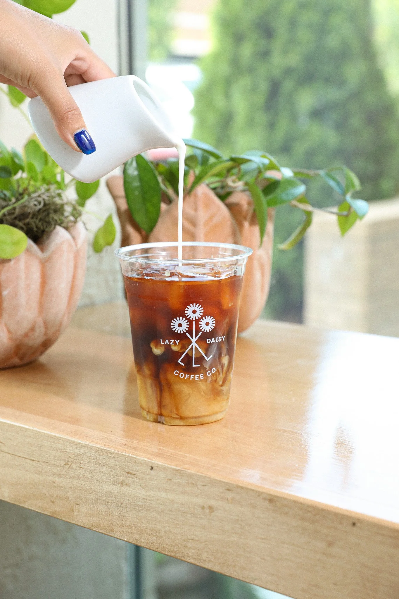 Lazy Daisy Coffee Co. in Columbia, SC (3)