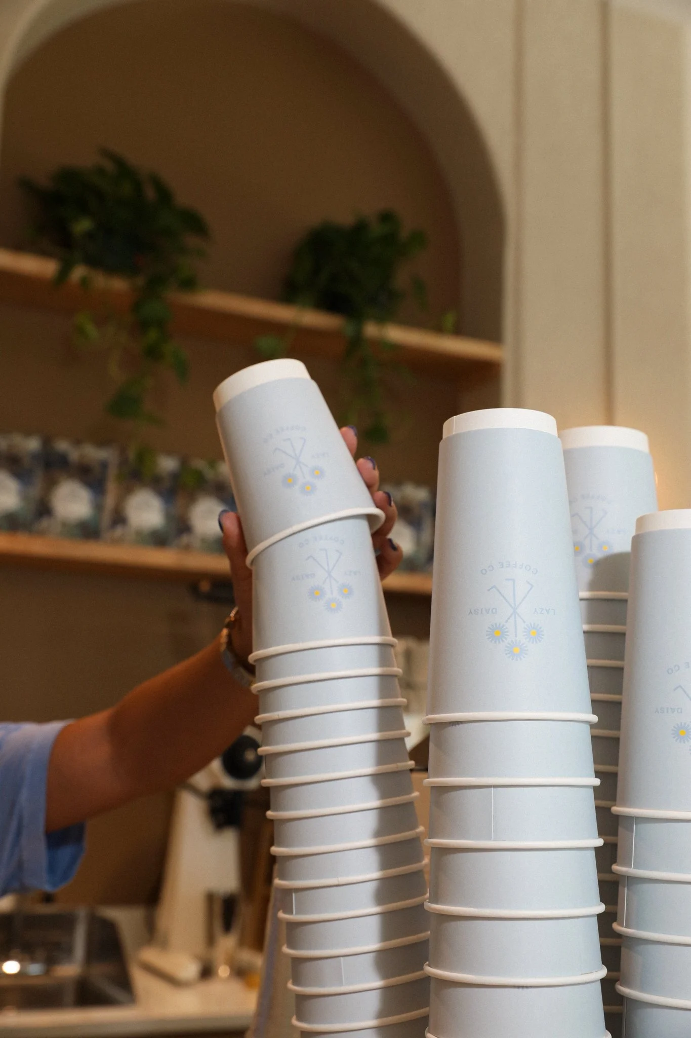 Lazy Daisy Coffee Co. in Columbia, SC (6)