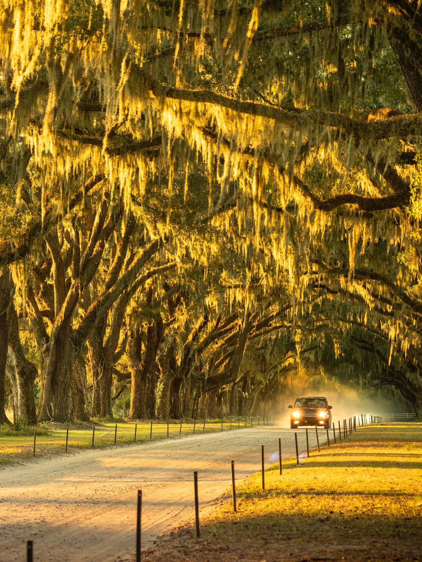 Peak Wooten McDaniel & Colwell LLP in Columbus, GA (2)