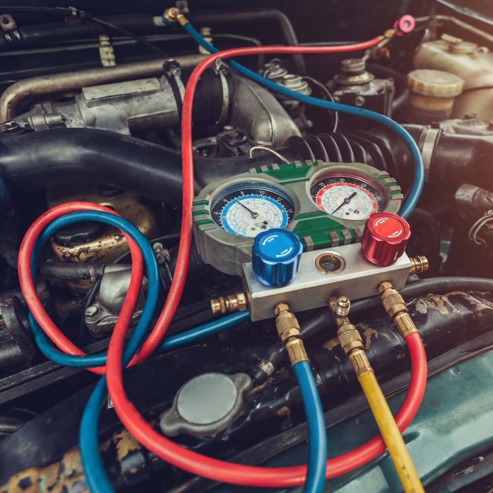 Ben Nielsen's Springfield Auto Care and Fleet in Springfield, VA (6)