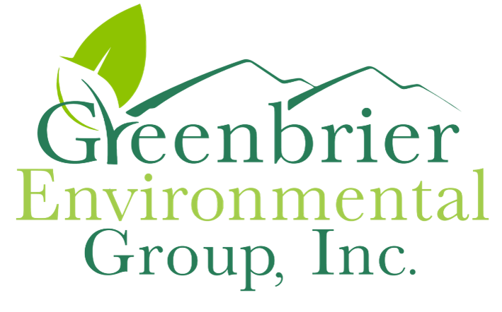 NRGRDA-WV Hive in Beckley, WV (6)