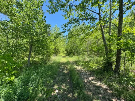 Mossy Oak Properties Legacy Realty Services in Perry, GA (6)