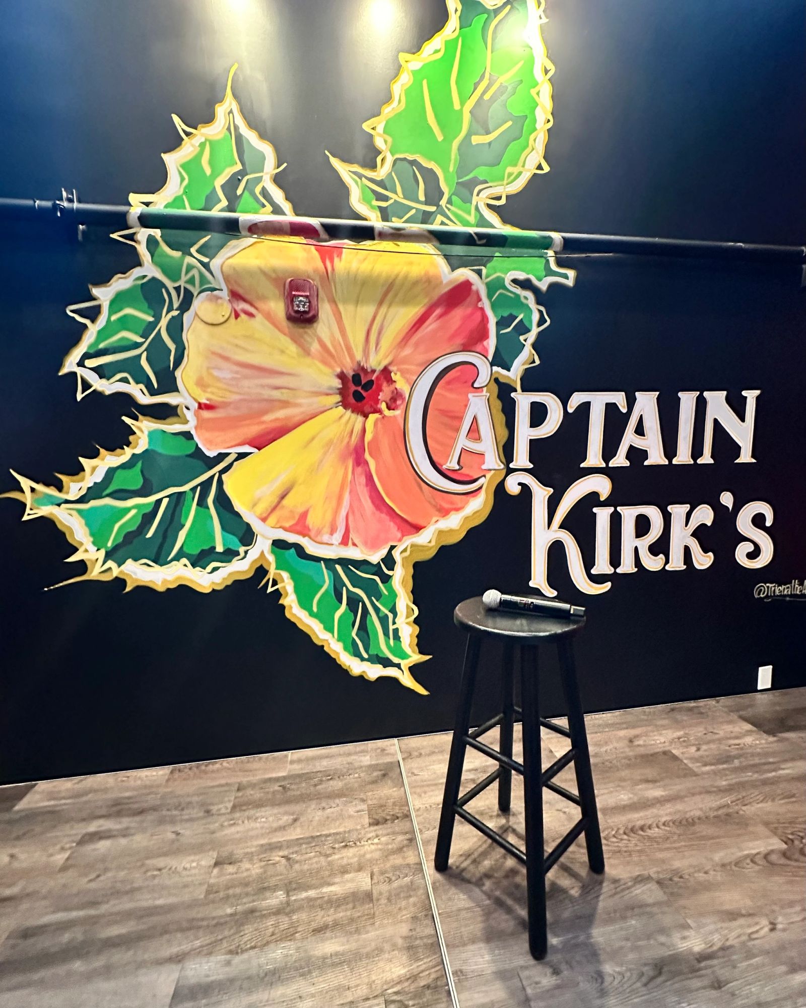 Captain Kirk's Comedy Lounge in Brooklyn, NY (4)
