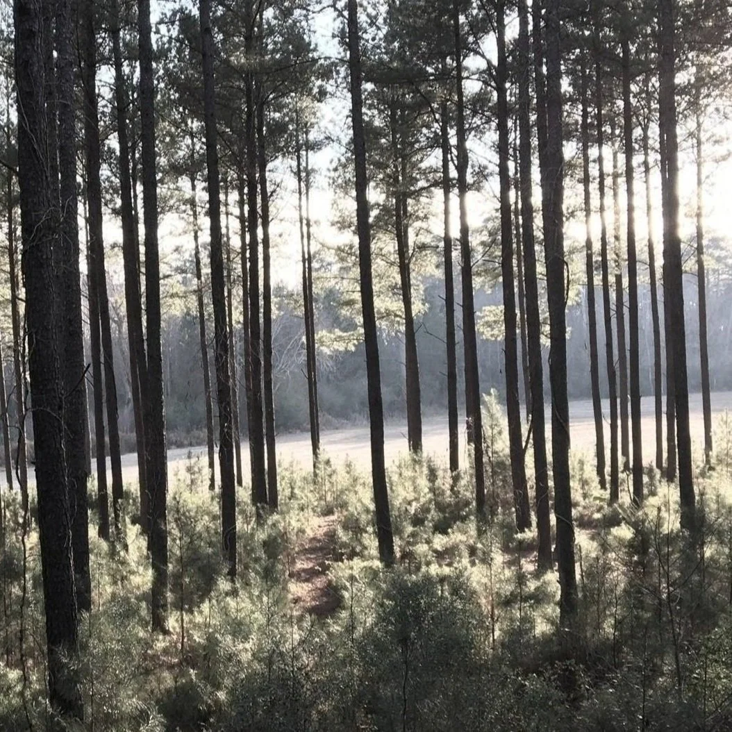 Law Office of Jason R. Page, PLLC in Wilson, NC (2)