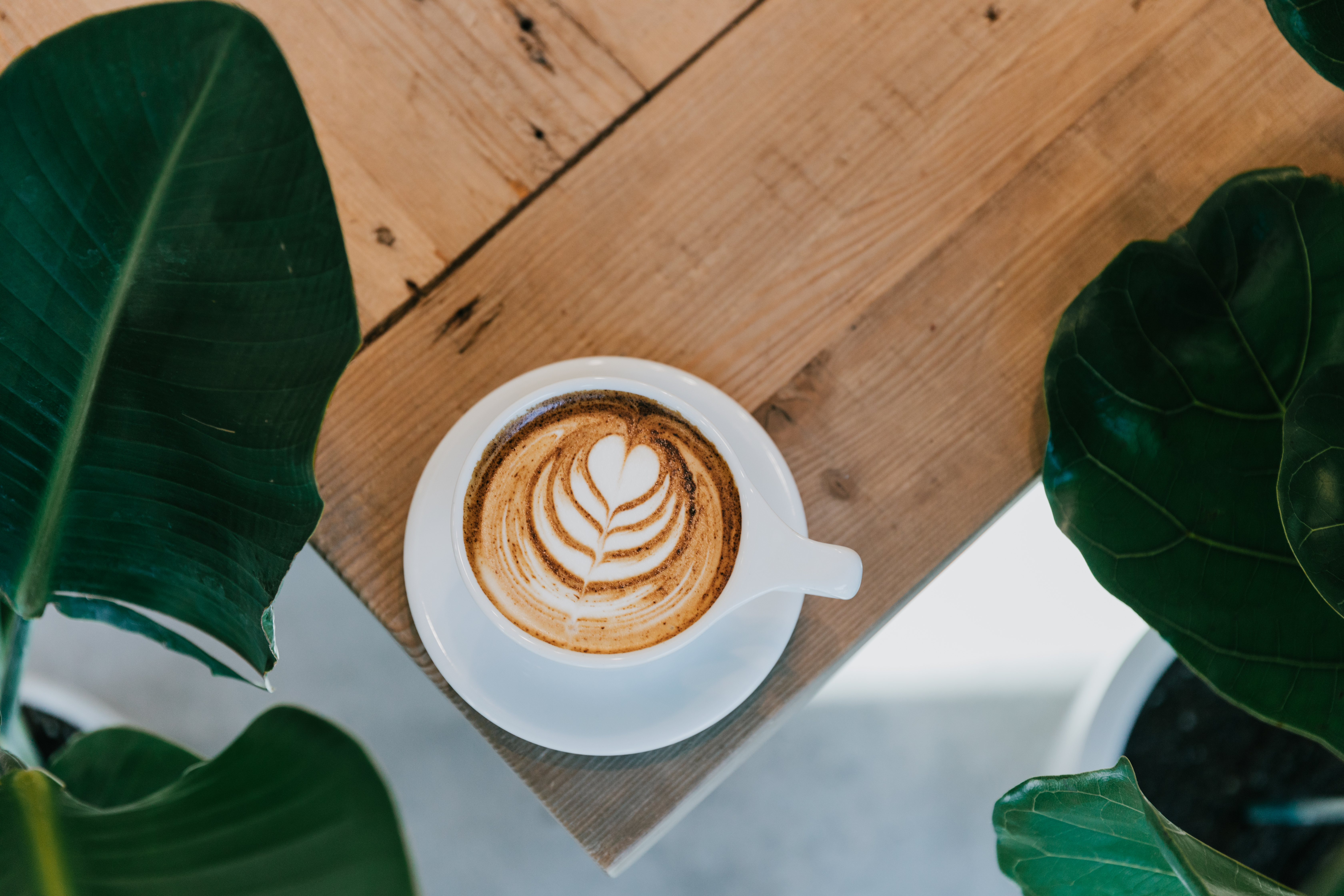 Trophy Coffee in Santa Clarita, CA