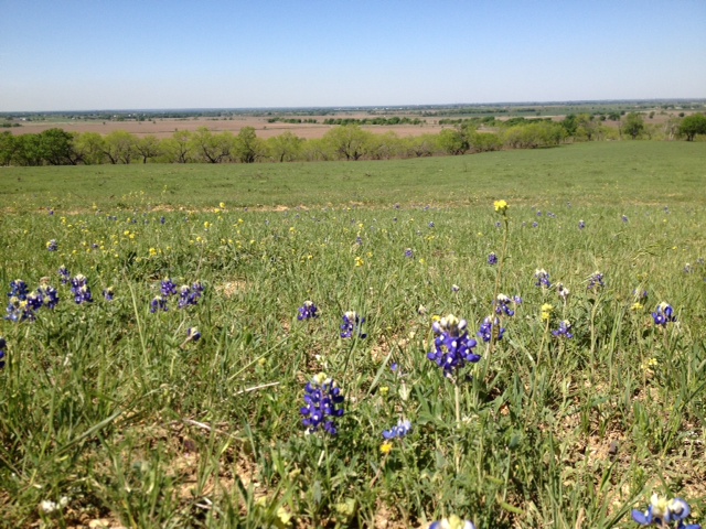 Texas Farm & Ranch Realty in Marlin, TX