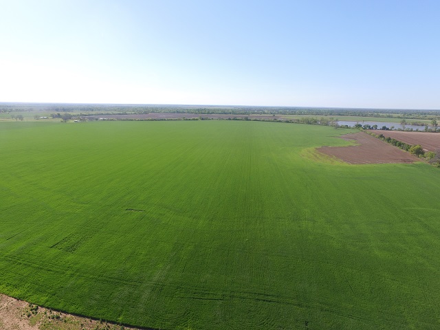 Texas Farm & Ranch Realty in Marlin, TX (6)
