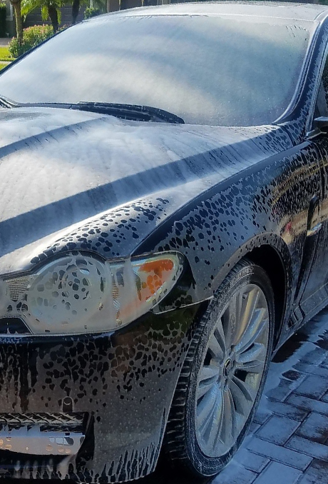 Marquise Diamond Mobile Detail in Naples, FL (5)