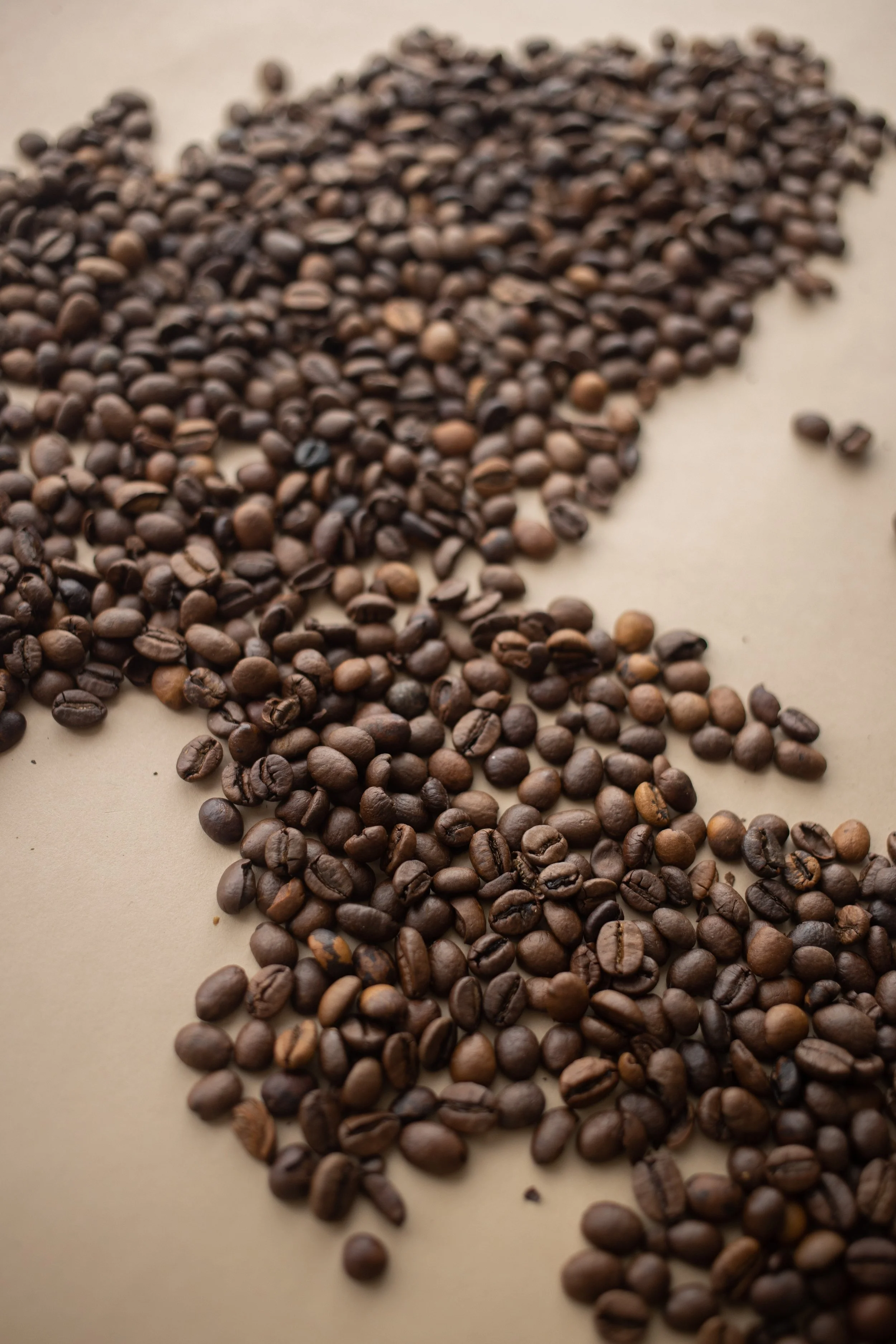 Vista Bean Coffee in Oceanside, CA (4)