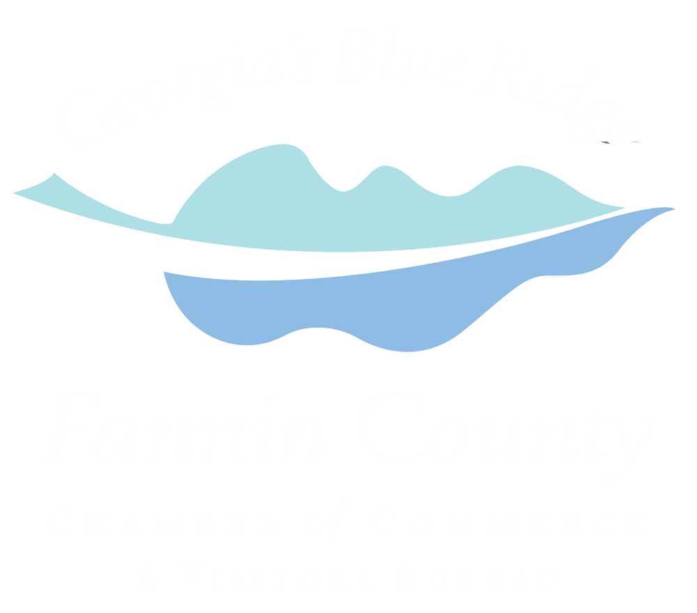 SBS Accounting & Advisors in Blue Ridge, GA (4)