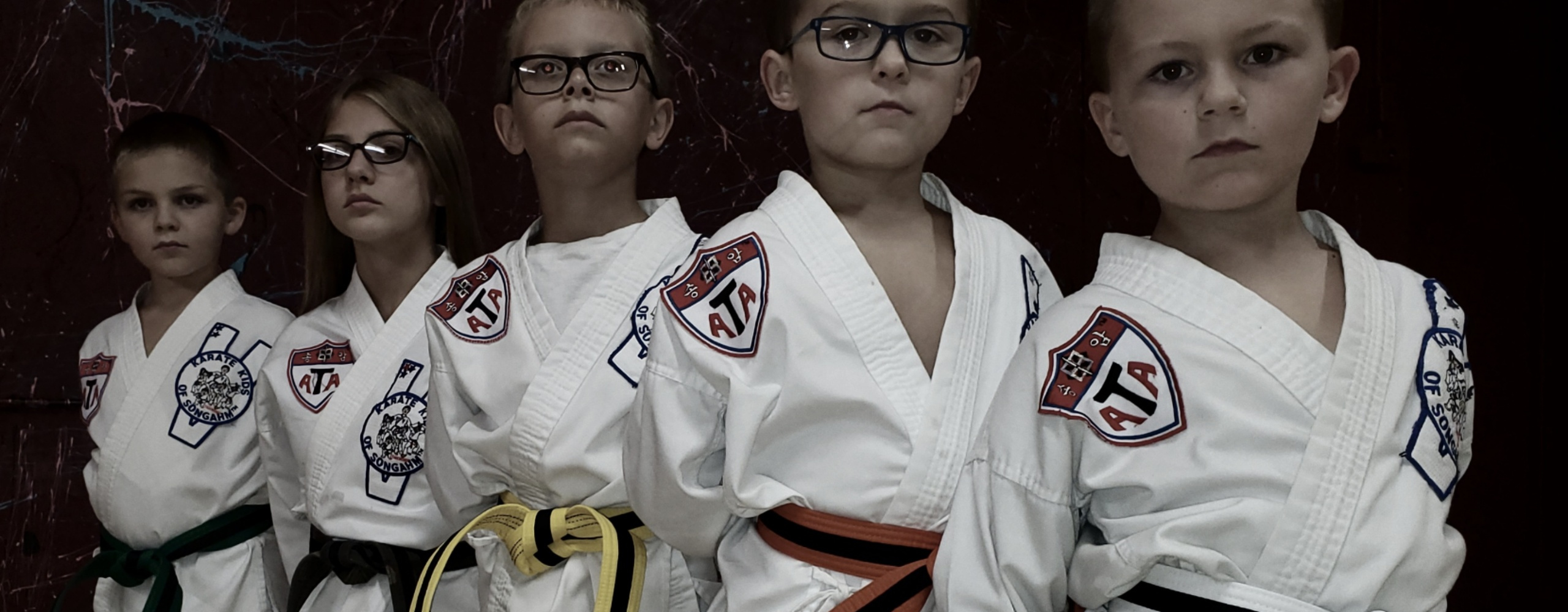 James' ATA Martial Arts in Natrona Heights, PA (2)