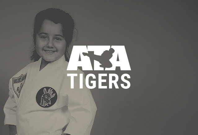 James' ATA Martial Arts in Natrona Heights, PA (6)