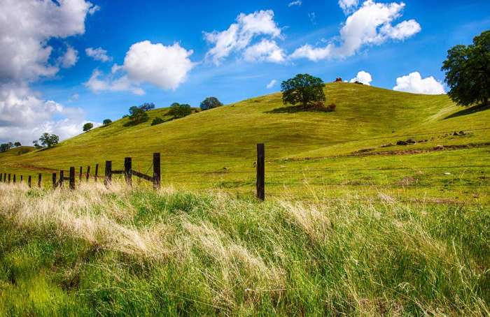 Ellis & Company Real Estate in Red Bluff, CA (3)