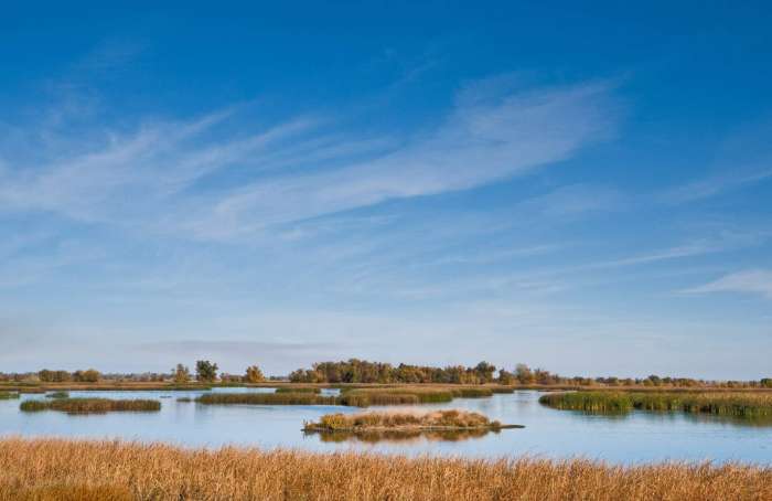 Ellis & Company Real Estate in Red Bluff, CA (6)