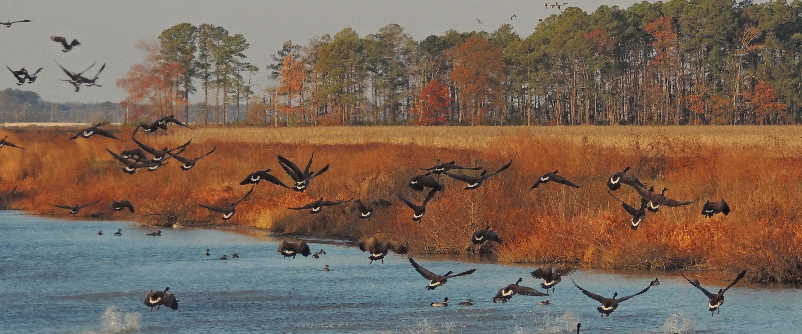 Blackwater National Wildlife Refuge Visitor Center in Church Creek, MD