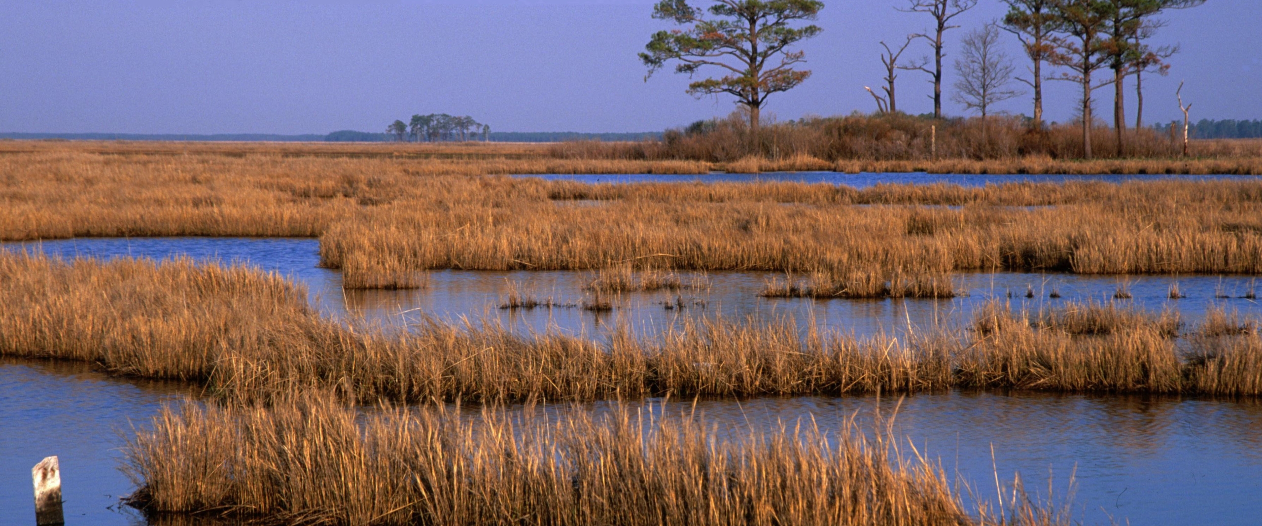 Blackwater National Wildlife Refuge Visitor Center in Church Creek, MD (2)
