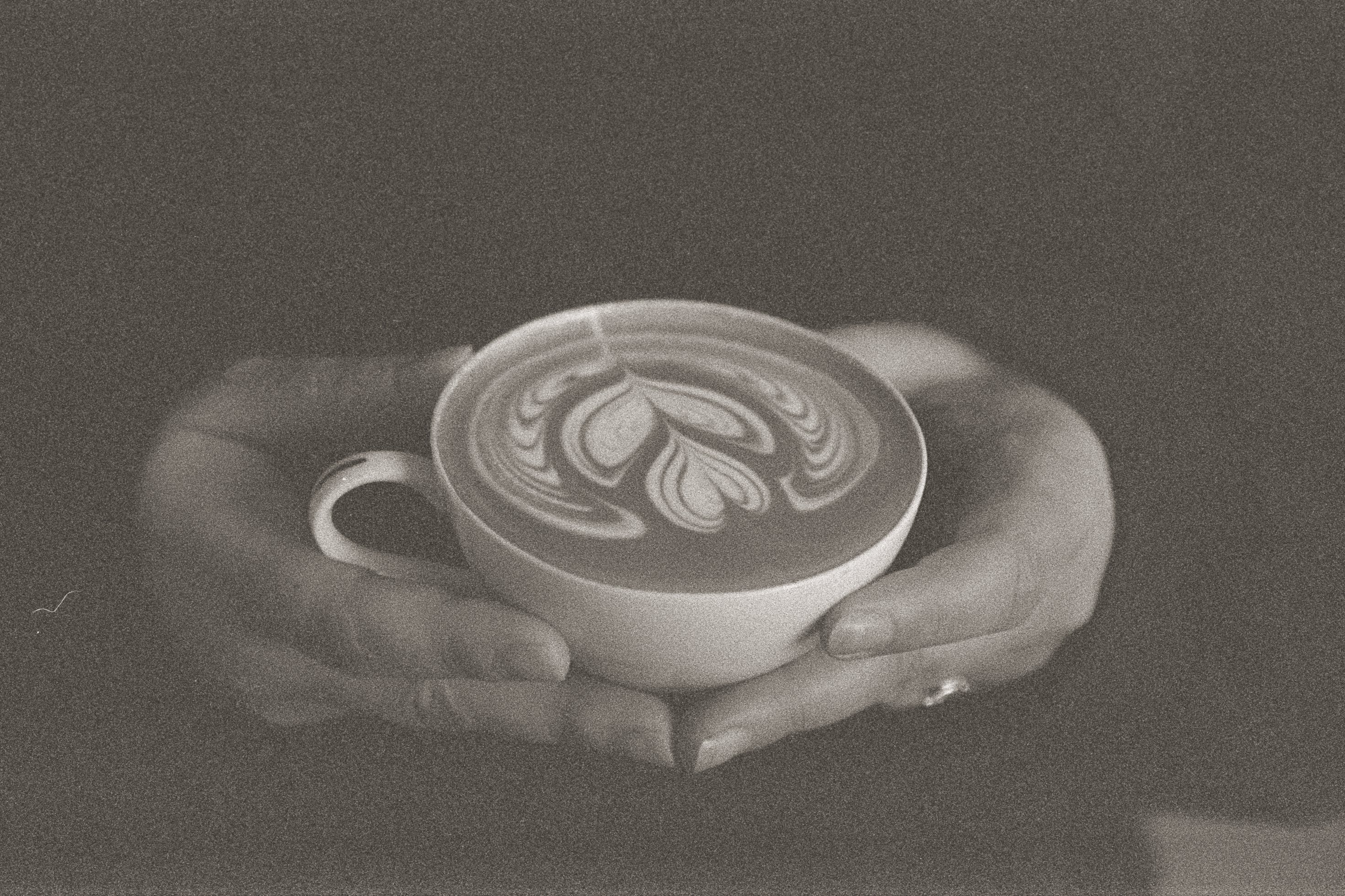 Brioso Roastery & Coffee Bar in Columbus, OH (4)
