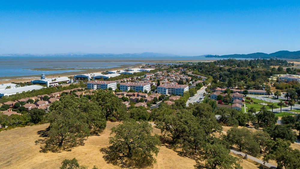 Team McGinnis Realtors at Compass in Novato, CA (2)