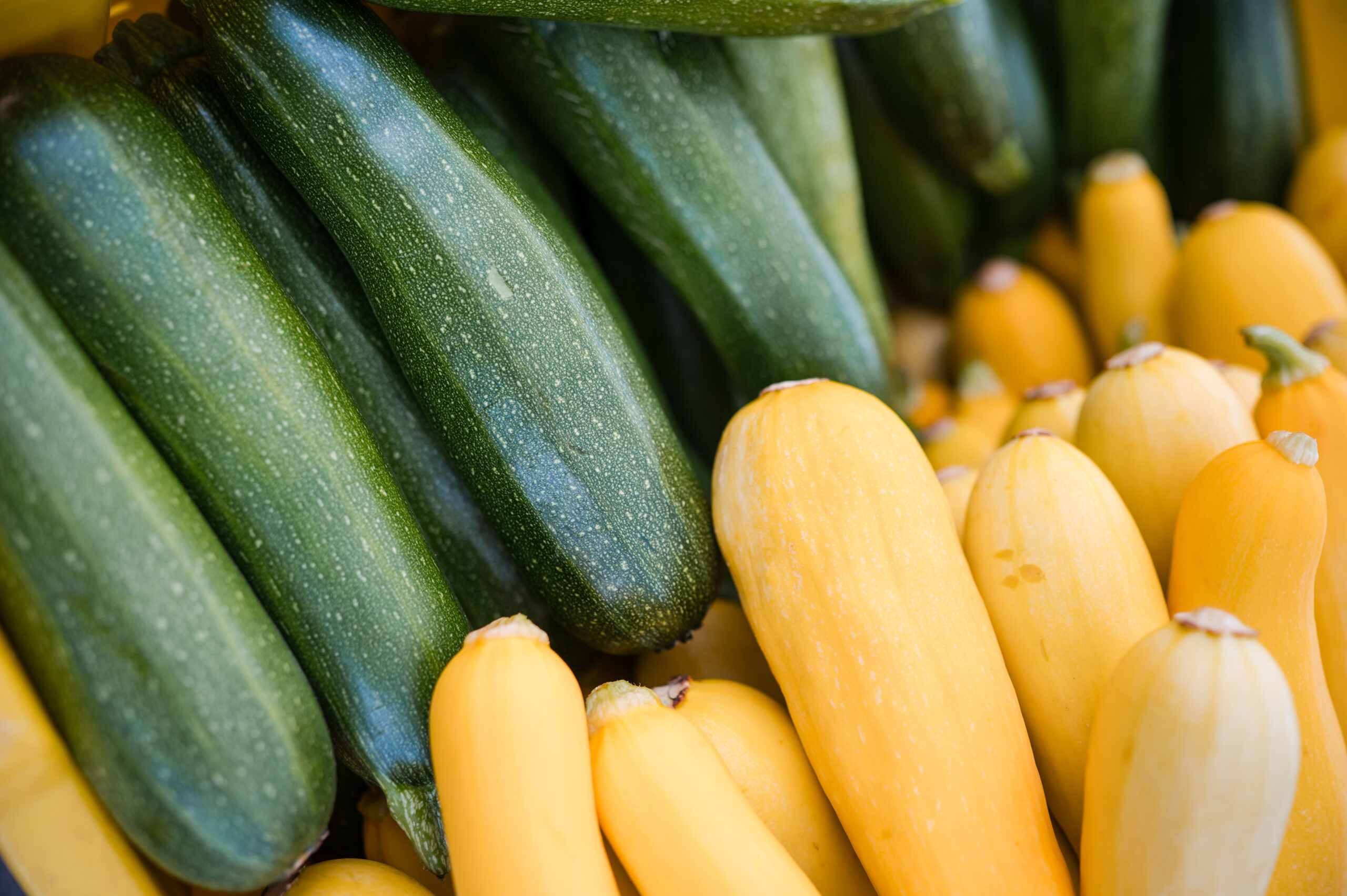 Tuscarawas Valley Farmers Market in Dover, OH