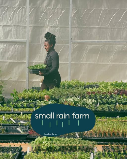 Small Rain Farm in Hurdle Mills, NC