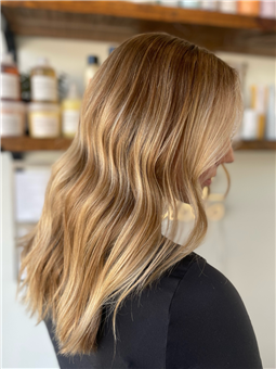 The Hair Cove in Fitchburg, WI (5)