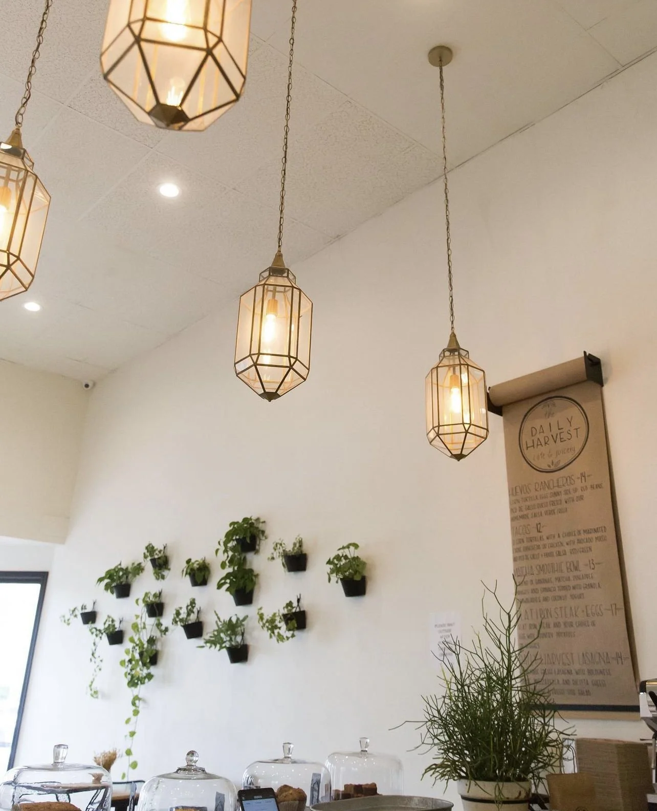 The Daily Harvest Cafe & Juicery in Newhall, CA (4)