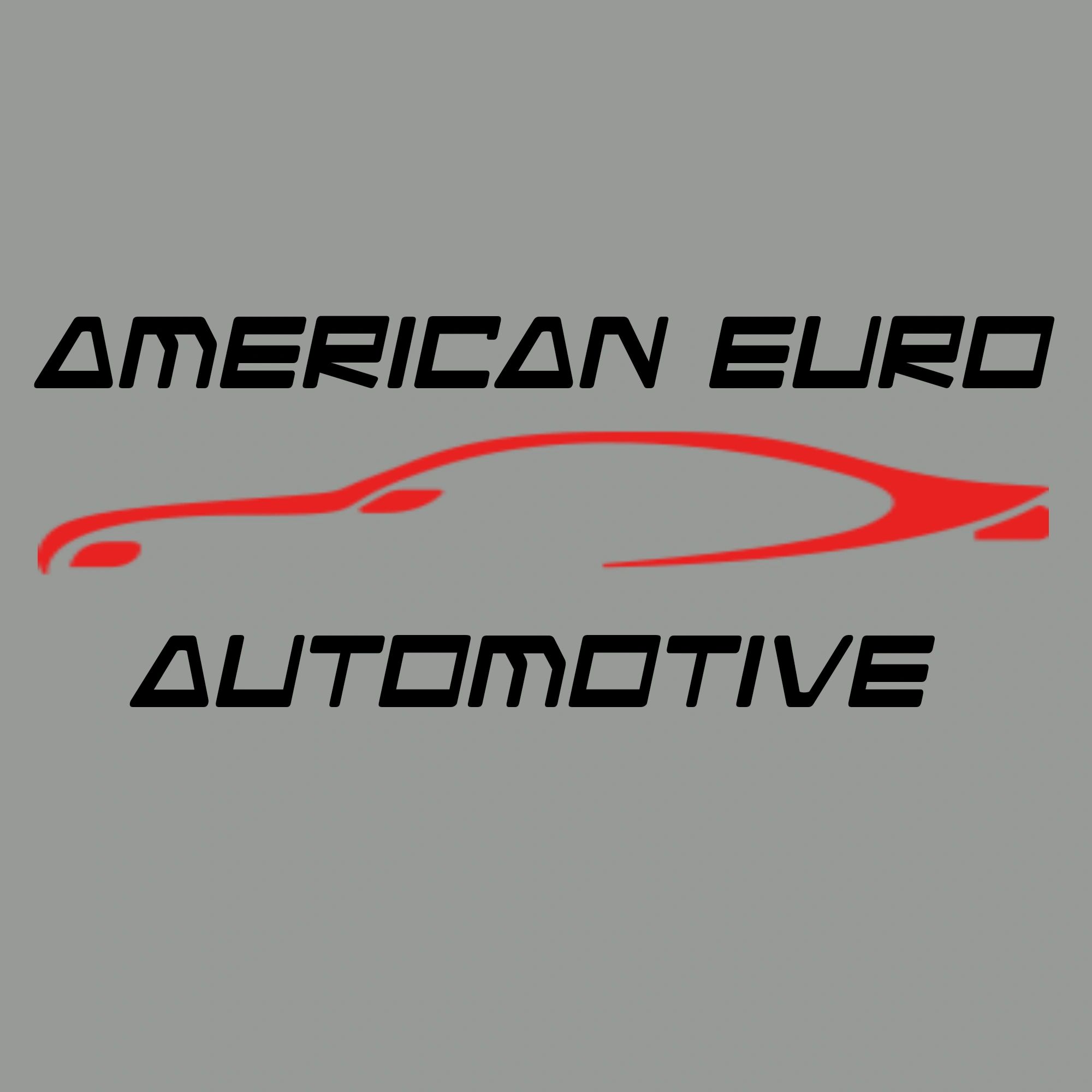 American Euro Automotive in Emerson, GA (2)