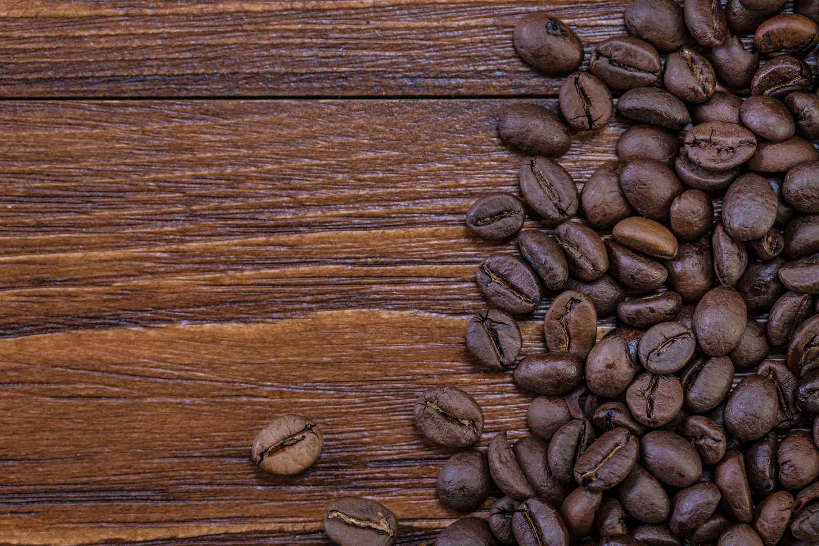 The French Press in Cape Coral, FL