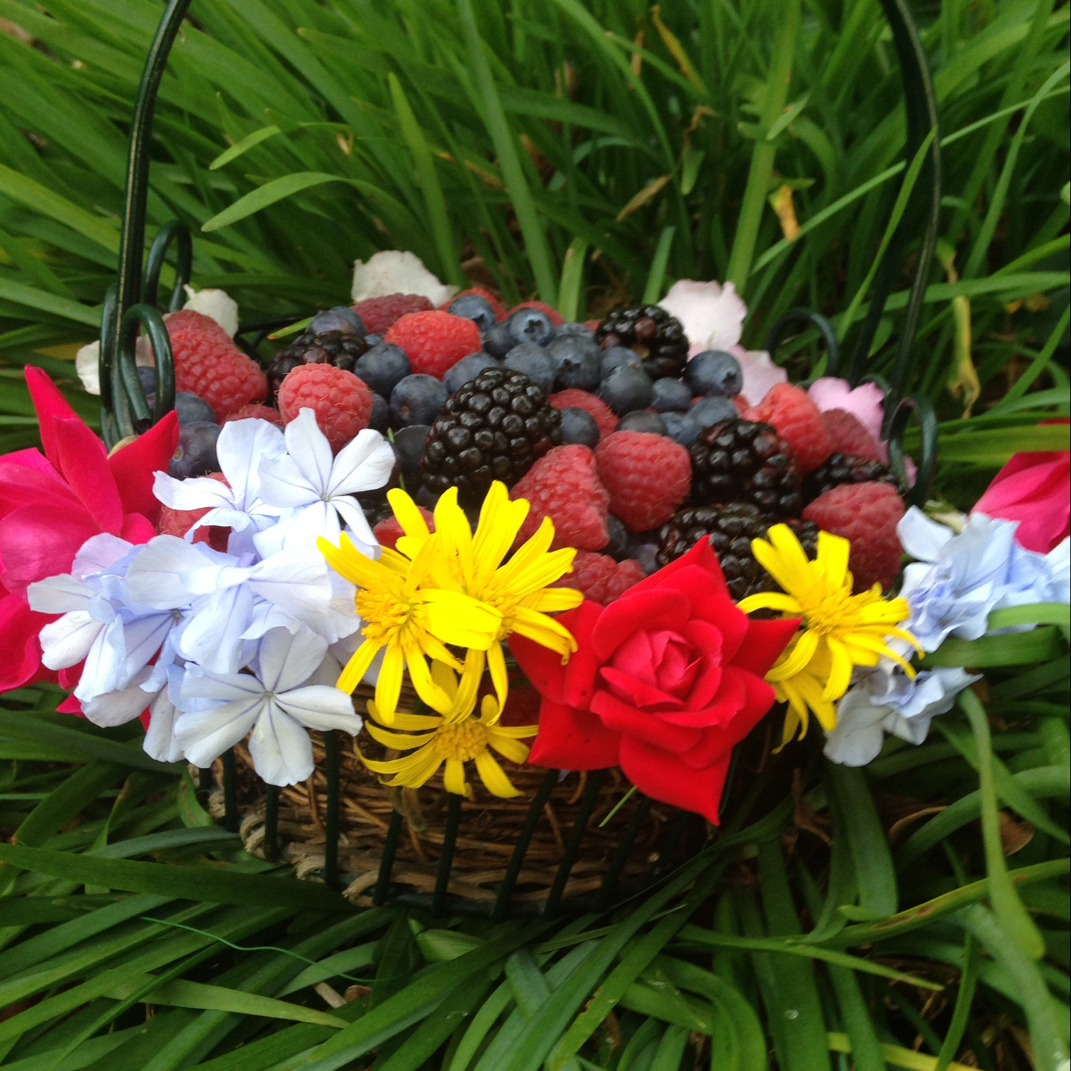 Blakelock's Berries in Conroe, TX (2)