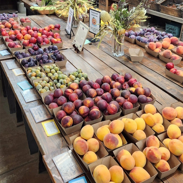 Andy's Orchard in Morgan Hill, CA