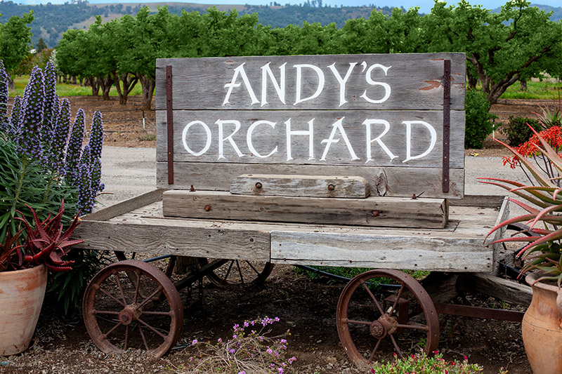 Andy's Orchard in Morgan Hill, CA (3)