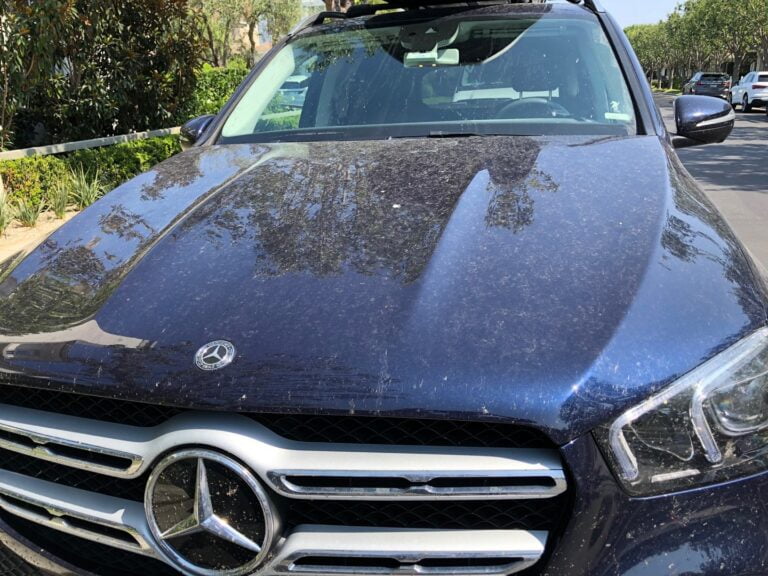 Detail Pro TD in Santa Ana, CA (2)